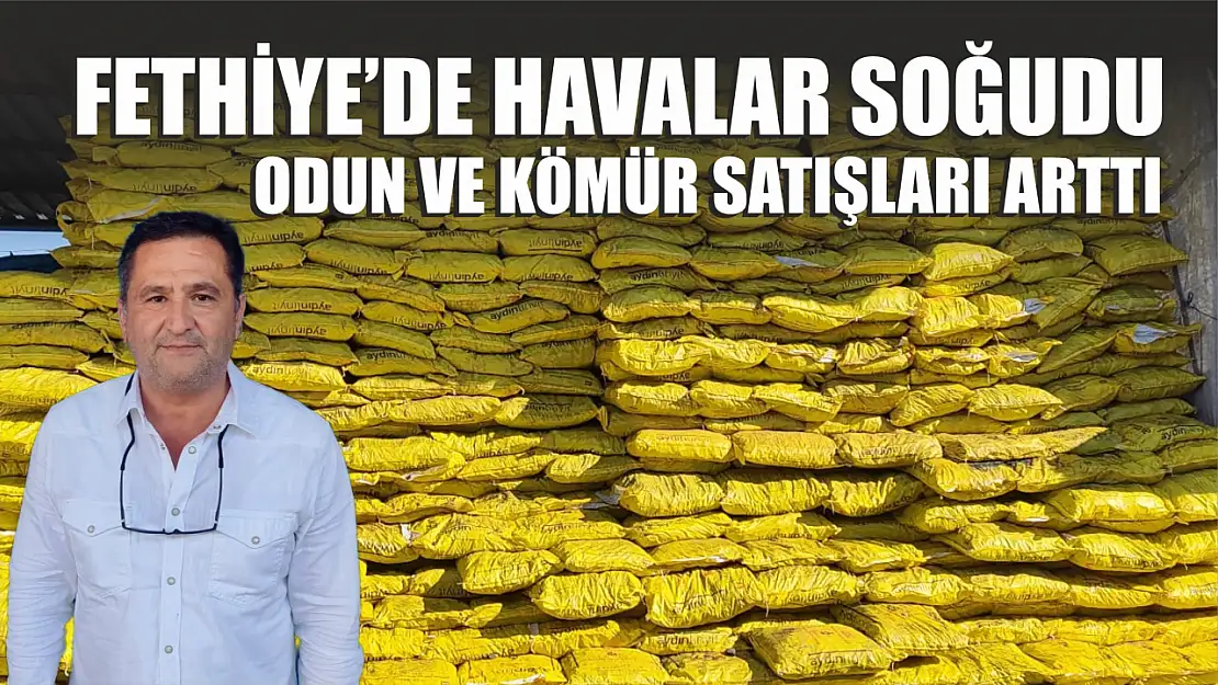 Fethiye'de havalar soğudu…  Odun ve kömür satışları arttı