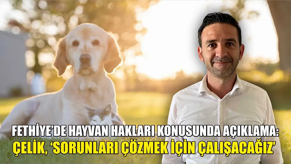 Fethiye'de hayvan hakları konusunda açıklama: Çelik, 'Sorunları çözmek için çalışacağız'