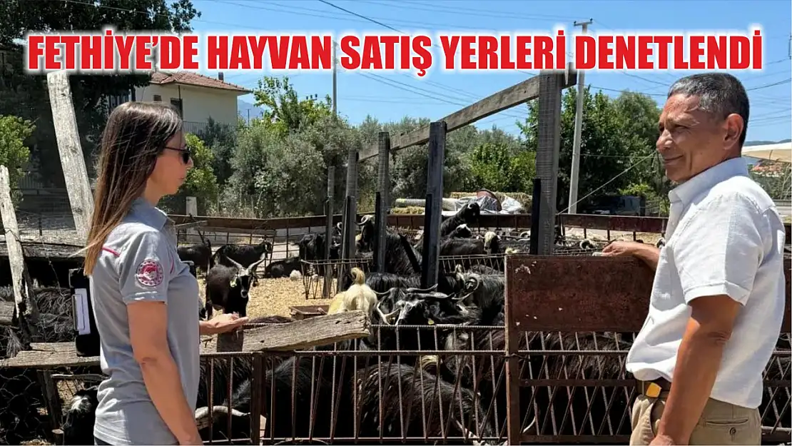 Fethiye'de hayvan satış yerleri denetlendi