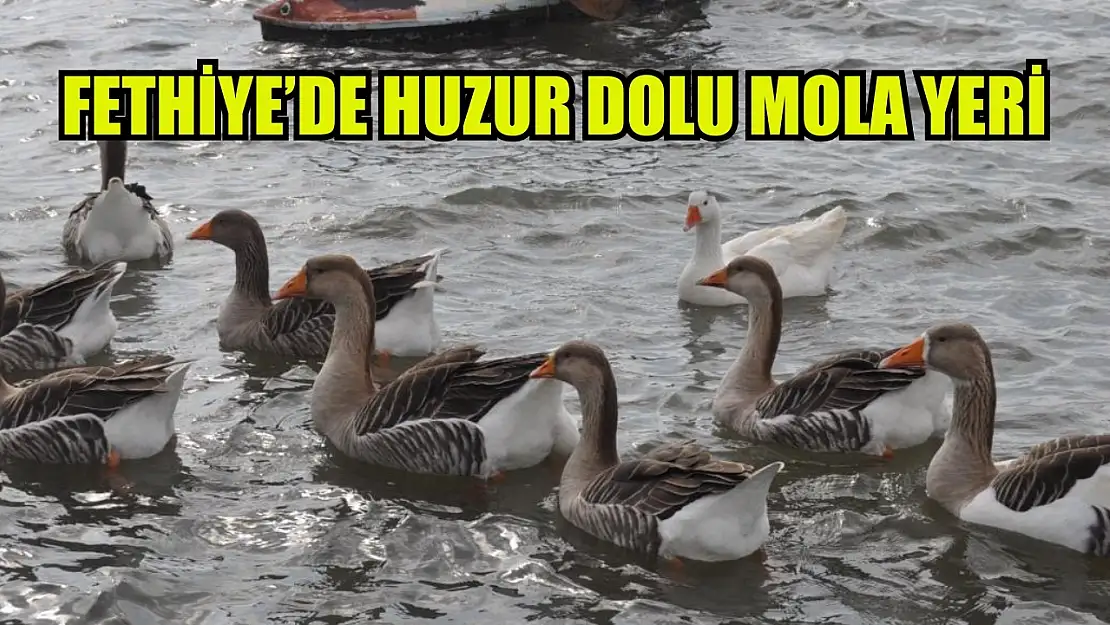 Fethiye'de huzur dolu mola yeri