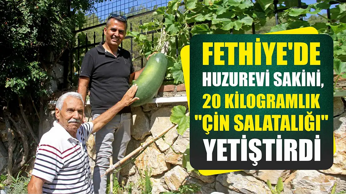 Fethiye'de huzurevi sakini, 20 kilogramlık 'Çin salatalığı' yetiştirdi