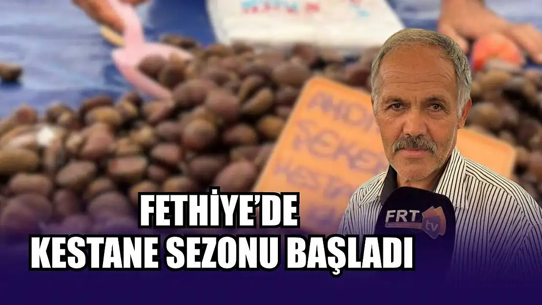 Fethiye'de kestane sezonu başladı