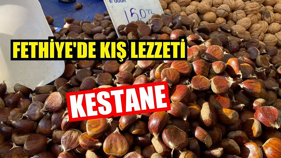 Fethiye'de kış lezzeti: Kestane