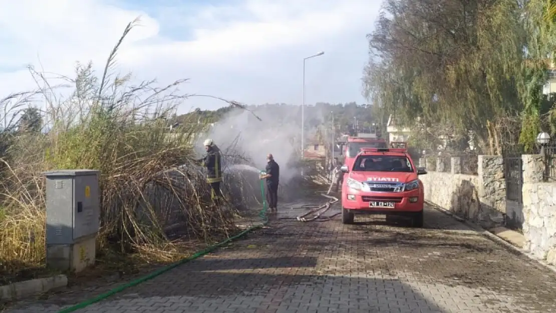 Fethiye'de kış ortasında arazi yangını