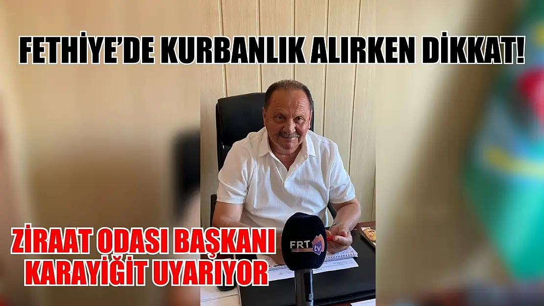 Fethiye'de Kurbanlık Alırken Dikkat! Ziraat Odası Başkanı Karayiğit uyarıyor