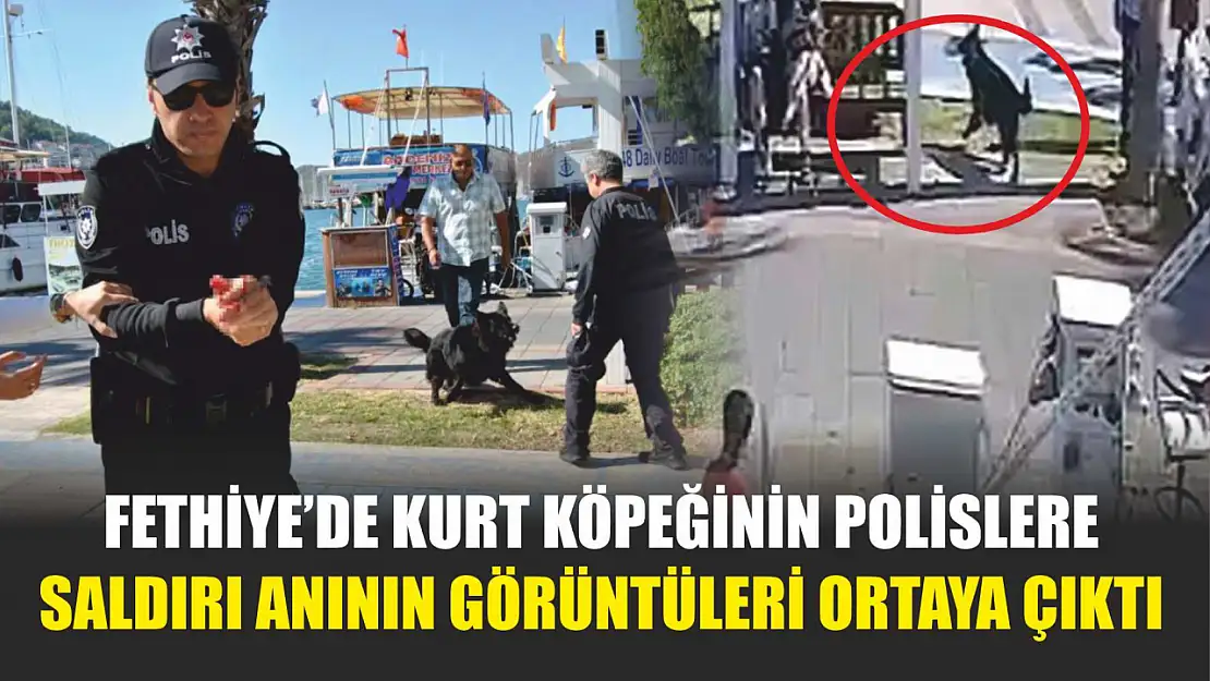 Fethiye'de kurt köpeğinin polislere saldırı anının görüntüleri ortaya çıktı