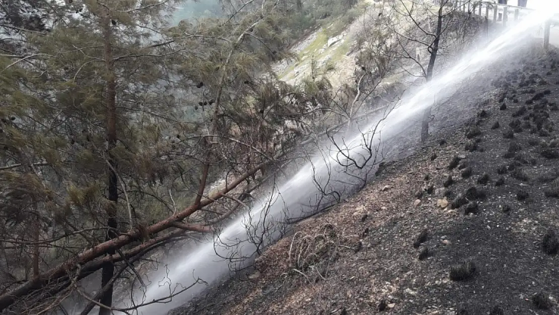 Fethiye'de orman yangını