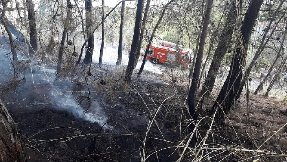 Fethiye'de orman yangını