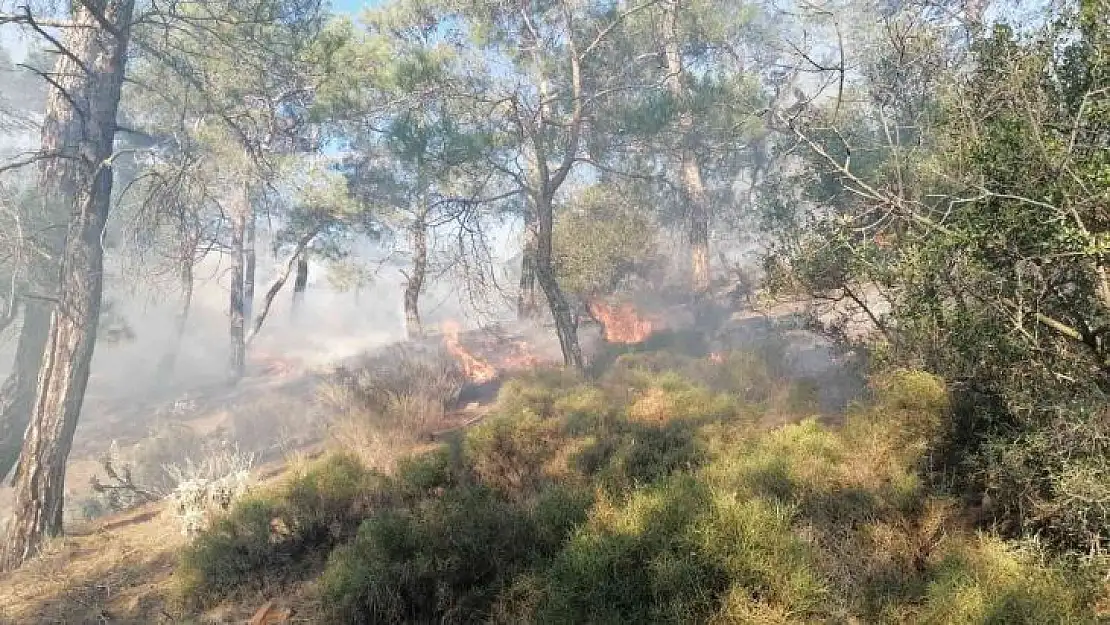 Fethiye'de orman yangınının yayılmasına jandarma engel oldu