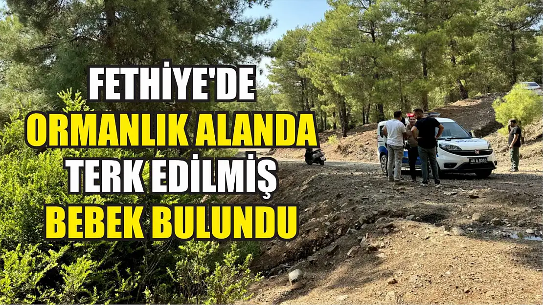 Fethiye'de ormanlık alanda terk edilmiş bebek bulundu