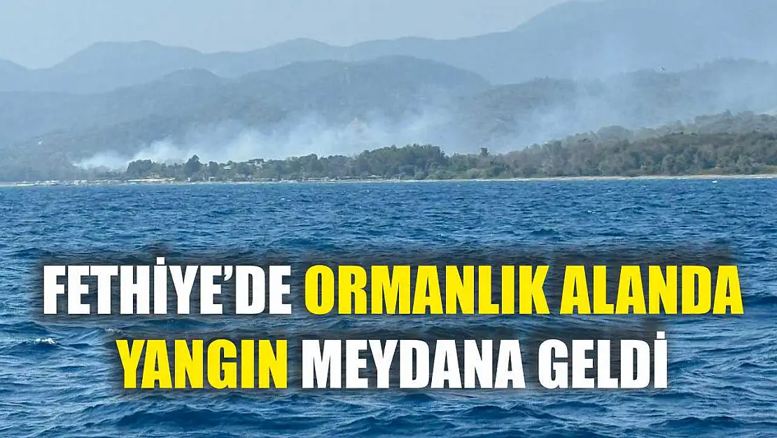 Fethiye'de Ormanlık Alanda Yangın Meydana Geldi