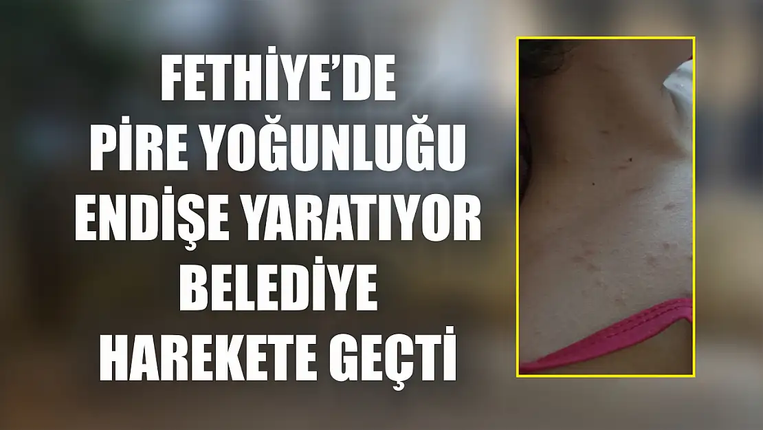 Fethiye'de Pire Yoğunluğu Endişe Yaratıyor Belediye Harekete Geçti