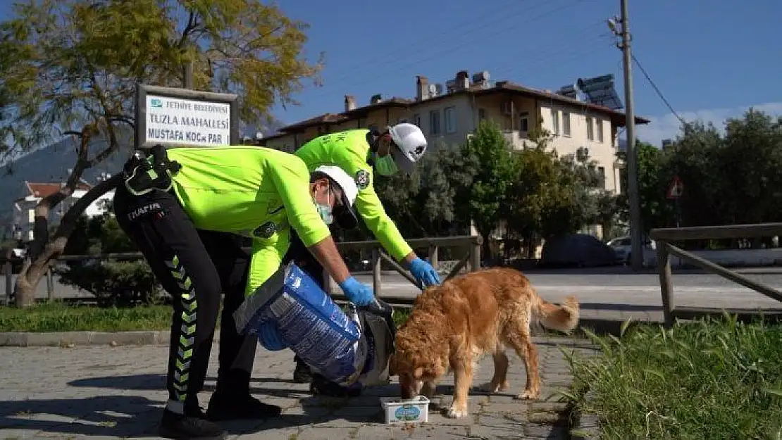 Fethiye'de polis, sokak hayvanlarına mama bıraktı