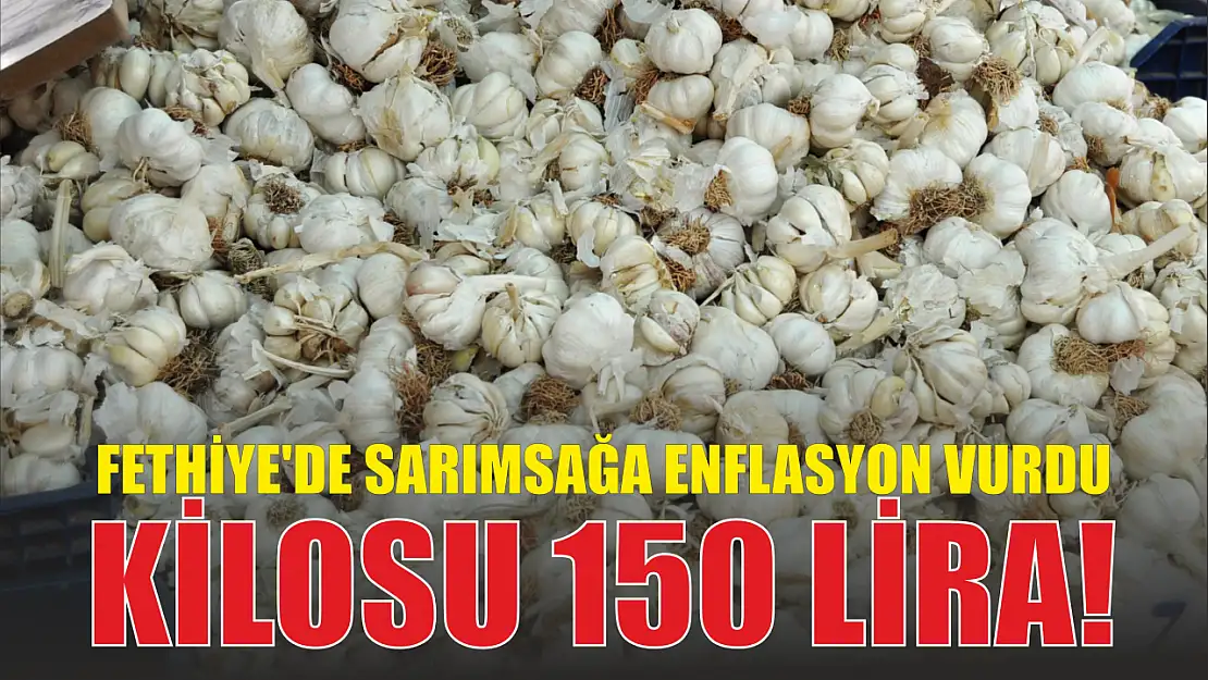 Fethiye'de sarımsağa enflasyon vurdu, kilosu 150 lira!