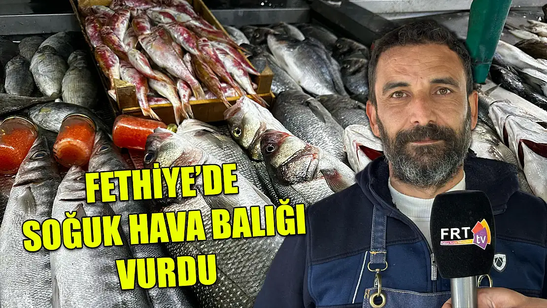 Fethiye'de soğuk hava balığı vurdu