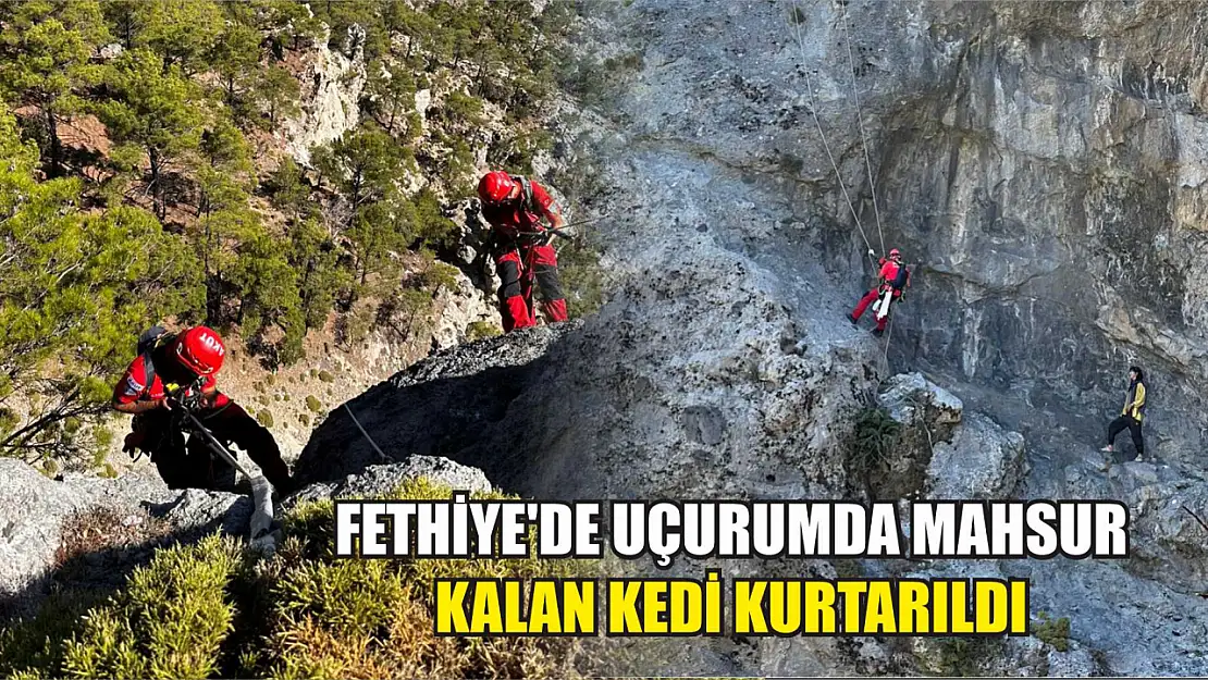 Fethiye'de uçurumda mahsur kalan kedi kurtarıldı