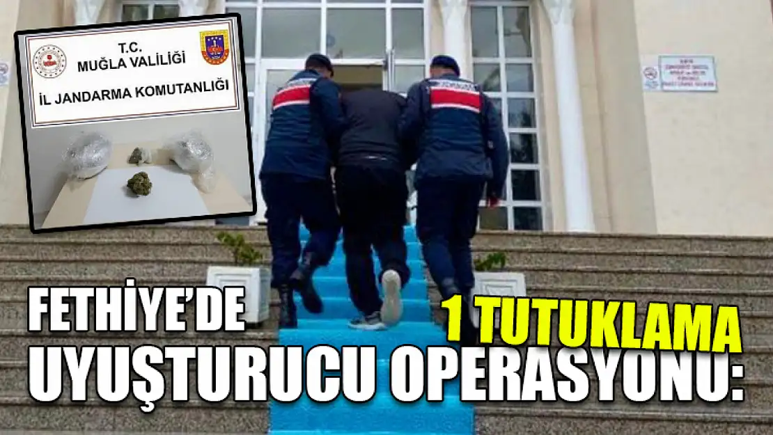 Fethiye'de uyuşturucu operasyonu: 1 tutuklama