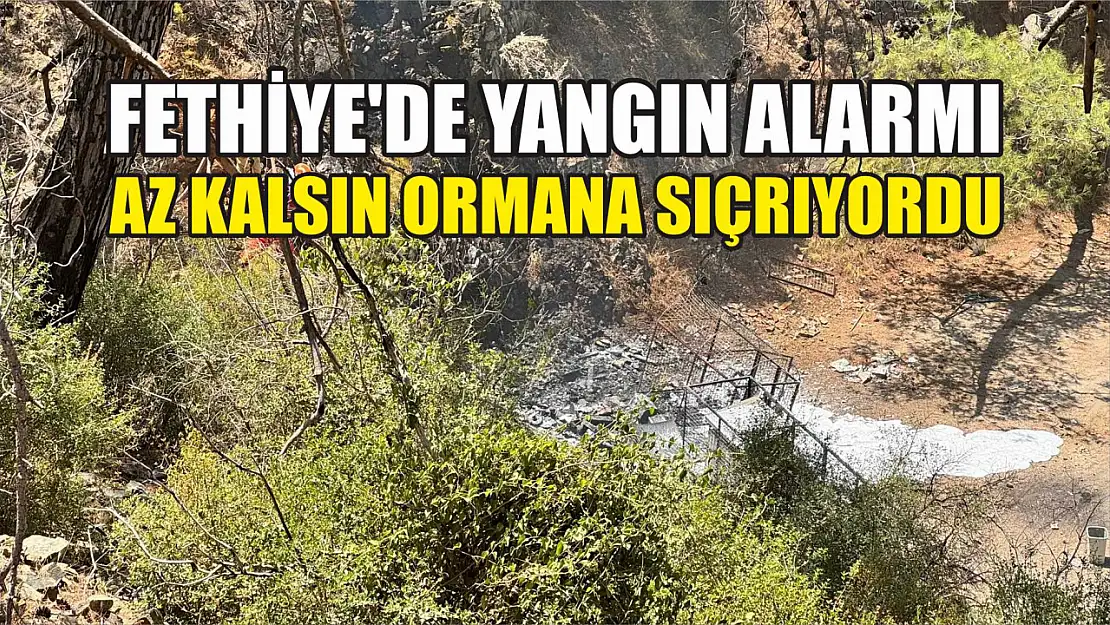 Fethiye'de yangın alarmı: Az kalsın ormana sıçrıyordu