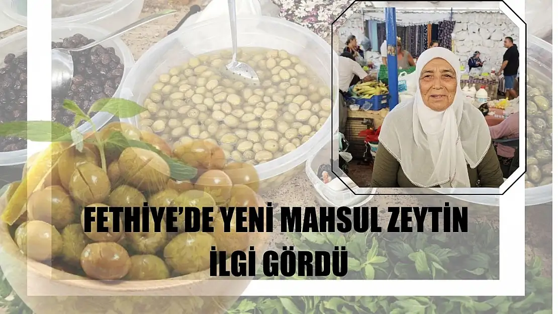 Fethiye'de yeni mahsul zeytin ilgi gördü