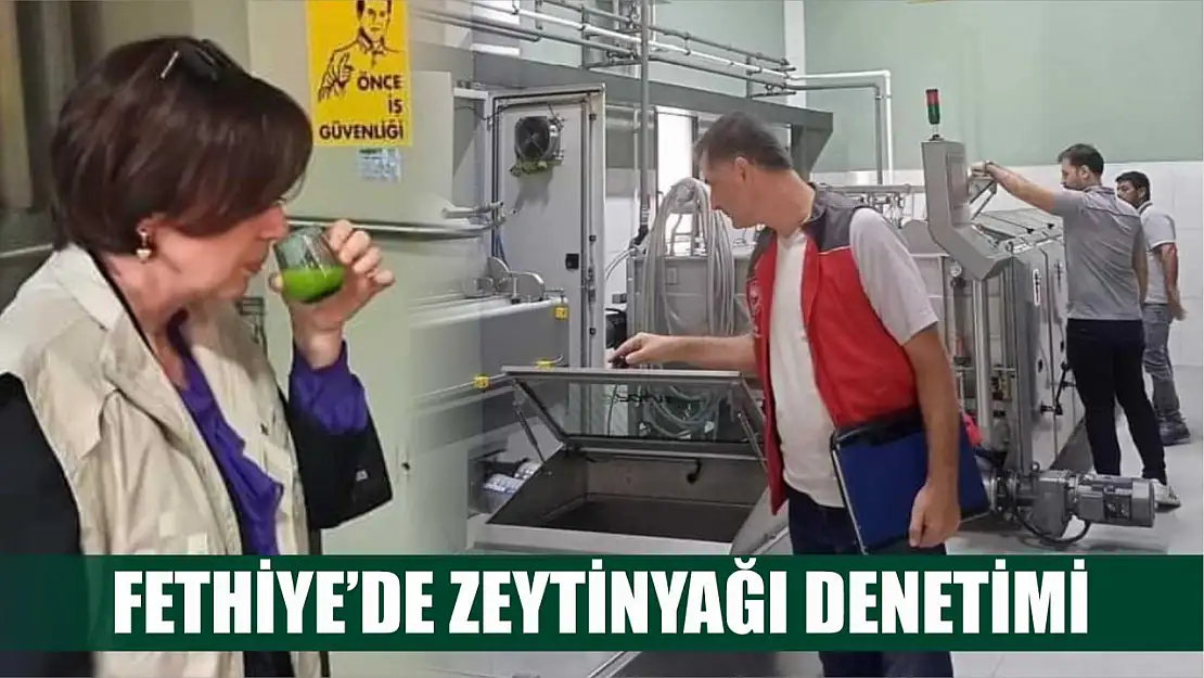 Fethiye'de zeytinyağı denetimi