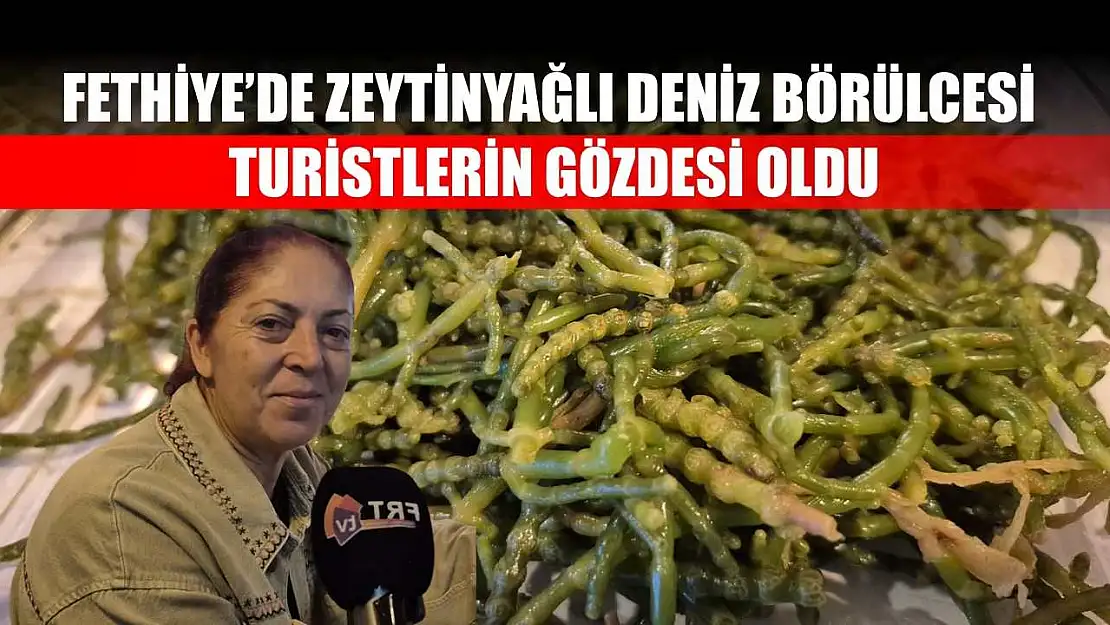 Fethiye'de Zeytinyağlı Deniz Börülcesi Turistlerin Gözdesi Oldu