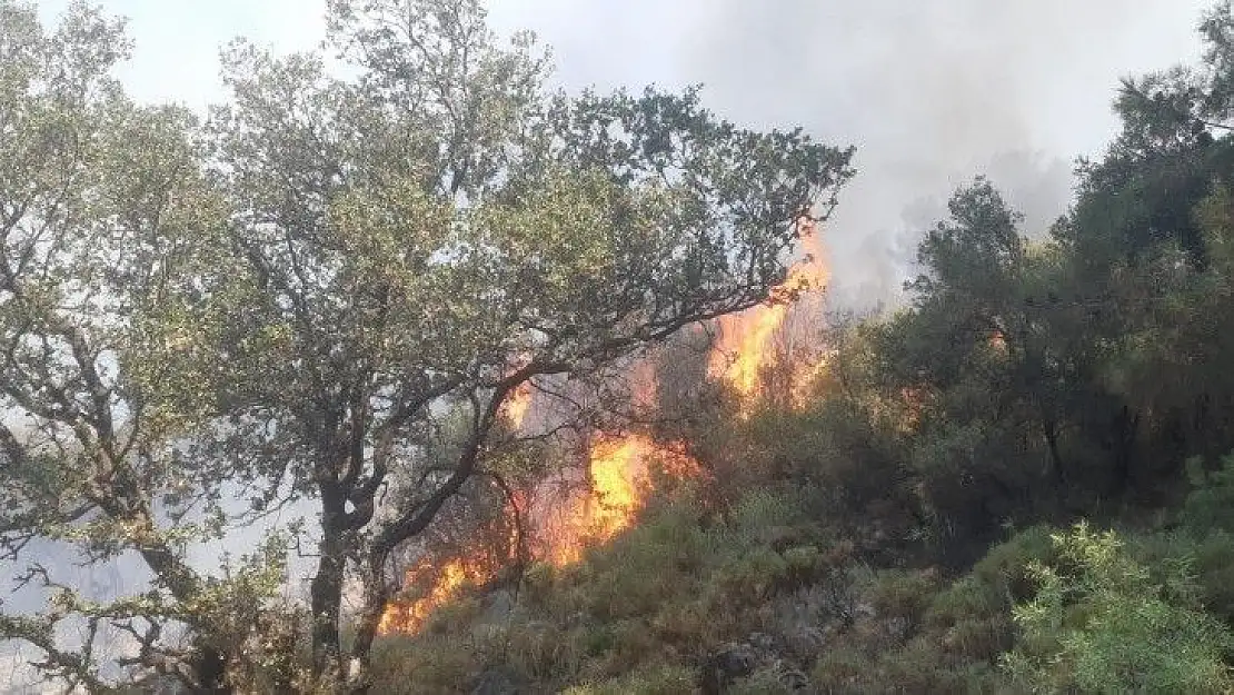 Fethiye'deki orman yangını büyümeden söndürüldü