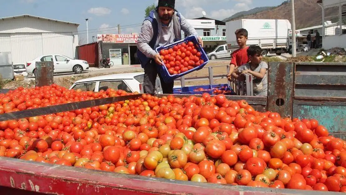 FETHİYE'DEN 34 BİN 437 TON İHRACAT YAPILDI