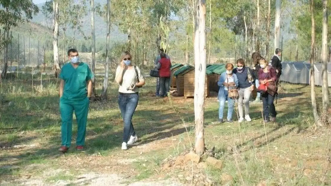 Fethiye Geçici Hayvan Bakım Merkezi'nin çehresi değişiyor