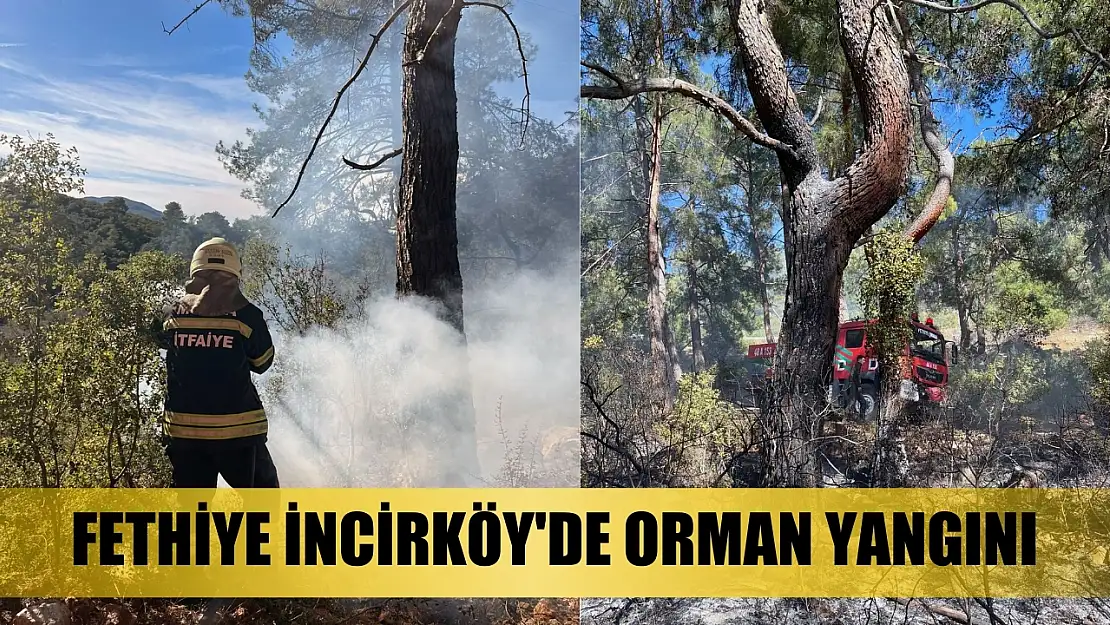 Fethiye İncirköy'de Orman Yangını