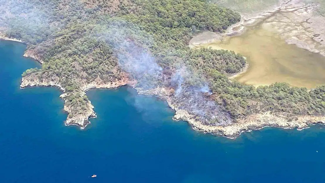 Katrancı Koyu'ndaki orman yangını kontrol altında