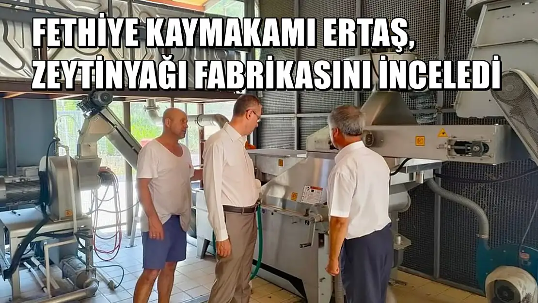 Fethiye Kaymakamı Ertaş, Zeytinyağı Fabrikasını İnceledi