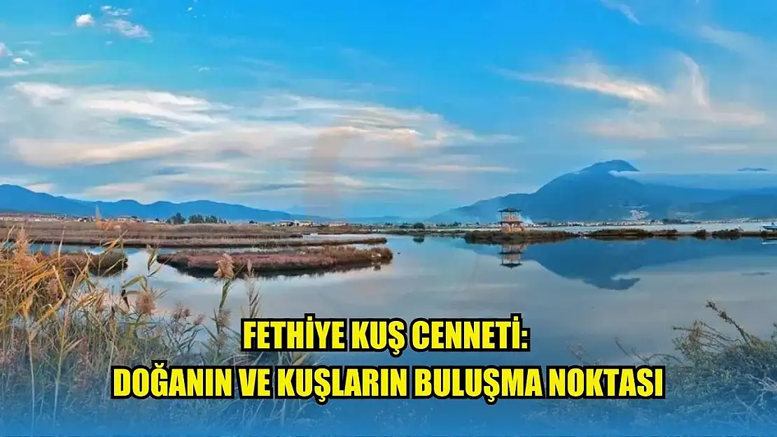 Fethiye Kuş Cenneti: Doğanın ve Kuşların Buluşma Noktası