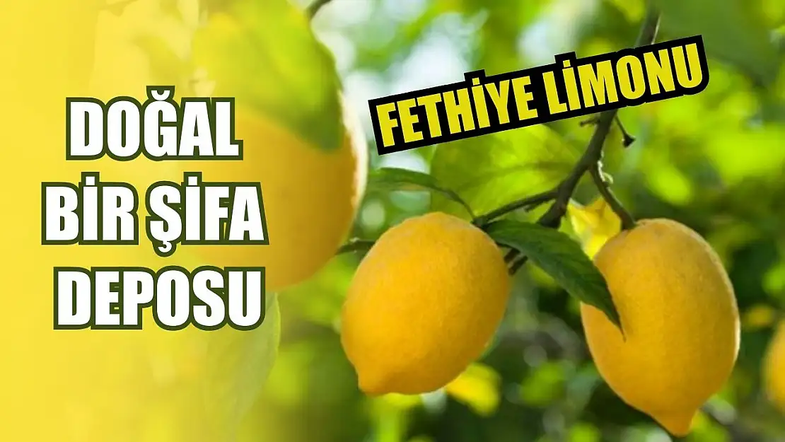 Fethiye Limonu: Doğal bir şifa deposu