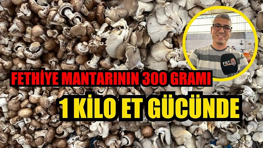 Fethiye Mantarının 300 Gramı 1 Kilo Et Gücünde