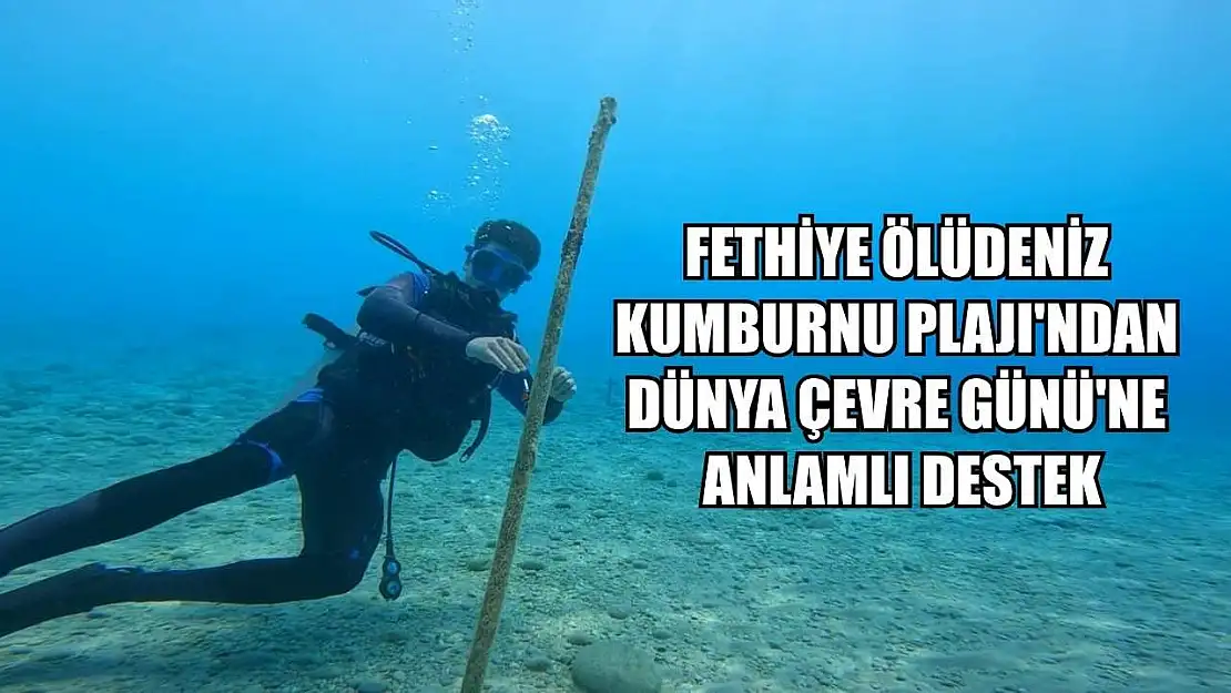 Fethiye Ölüdeniz Kumburnu Plajı'ndan Dünya Çevre Günü'ne anlamlı destek