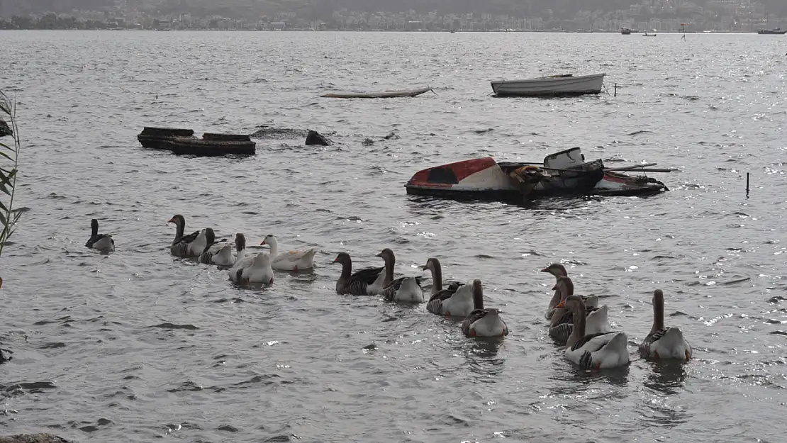 Fethiye Ördek Adası'nda Renkli Görüntüler