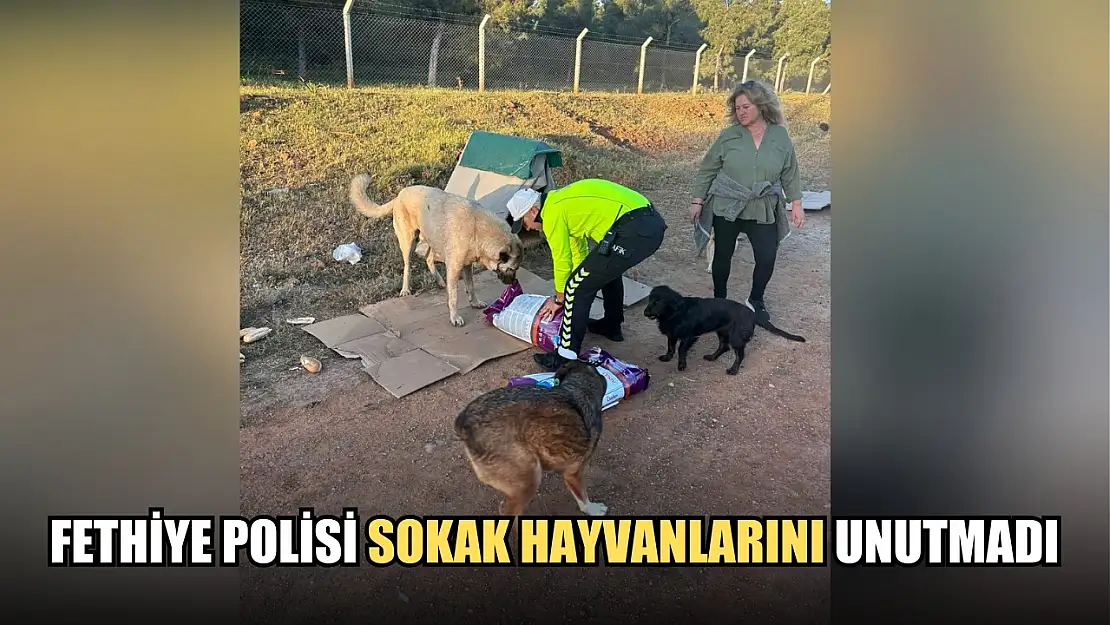 Fethiye polisi sokak hayvanlarını unutmadı