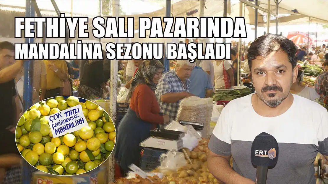 Fethiye Salı Pazarında Mandalina Sezonu Başladı