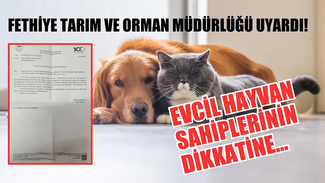 Fethiye Tarım ve Orman Müdürlüğü uyardı! Evcil hayvan sahiplerinin dikkatine…