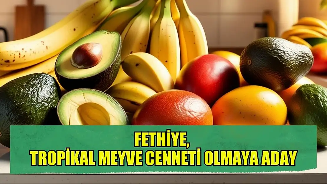 Fethiye Tropikal Meyve Cenneti Olmaya Aday