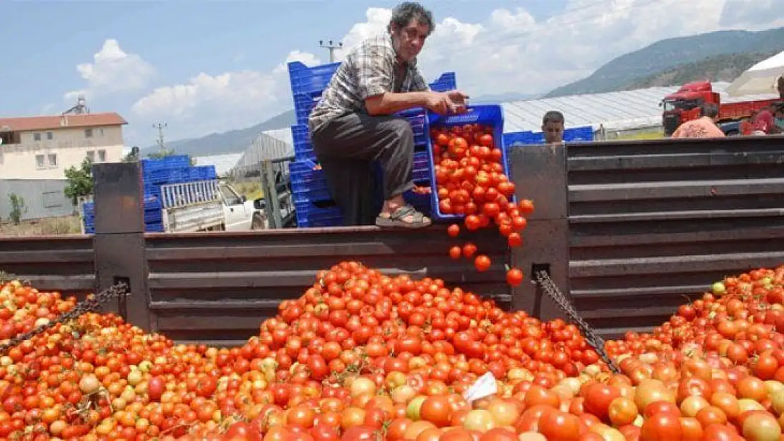 Fethiye'den 100 Bin Ton İhracat Gerçekleştirildi