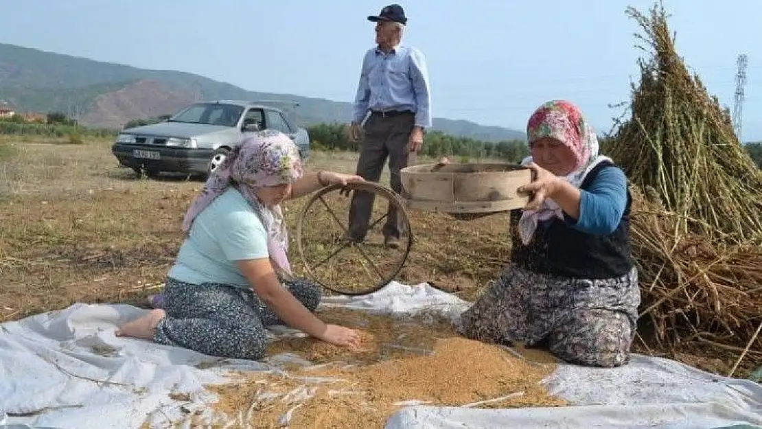 FETHİYELİ SUSAM ÜRETİCİLERİ, 'BİZİM İÇİN DE İHRACAT YOLU AÇILSIN'