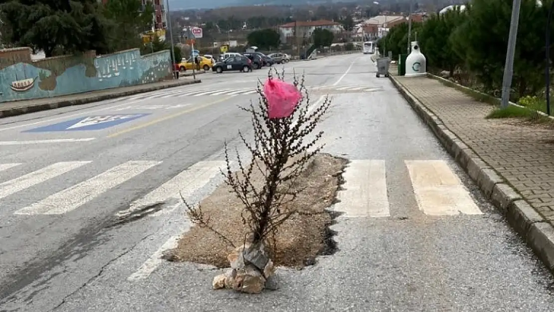 Fıkraları aratmayacak görüntü: 'Yaya geçidi sizlere ömür'