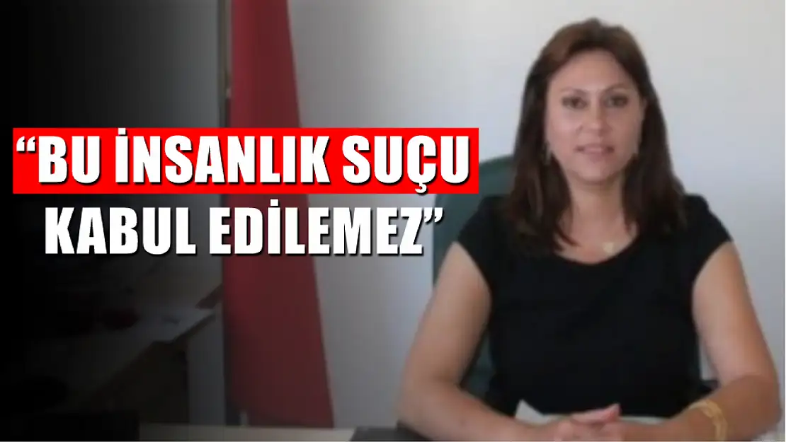 Filiz Topçu  'Bu insanlık suçu kabul edilemez'