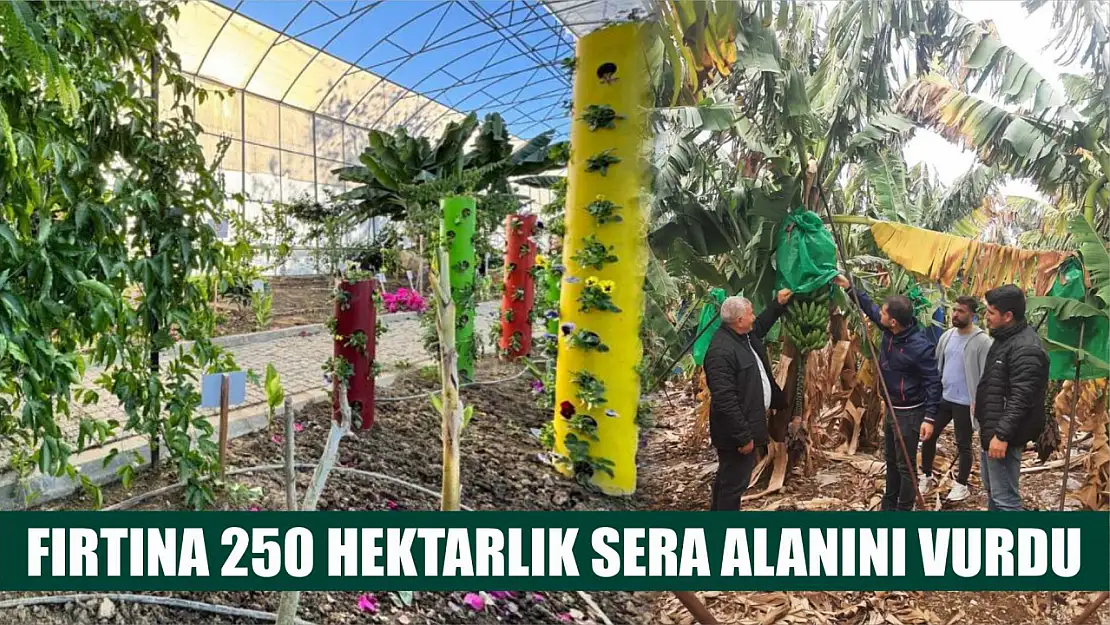 Fırtına 250 hektarlık sera alanını vurdu