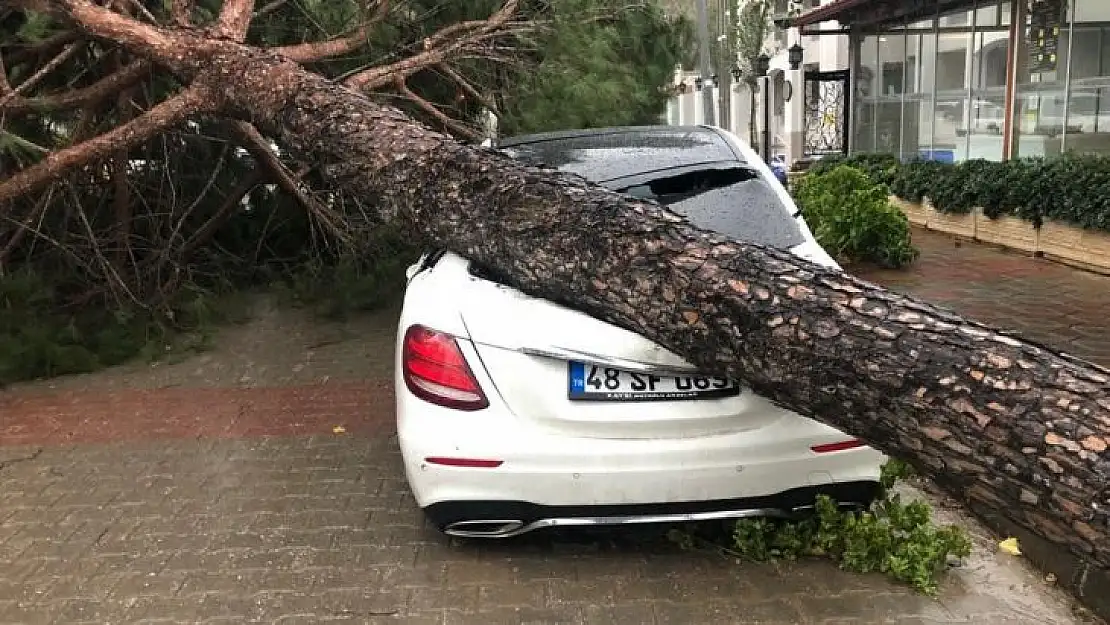 FIRTINA AĞAÇLARI DEVİRDİ, LÜKS ARAÇ VE BİR EV ZARAR GÖRDÜ