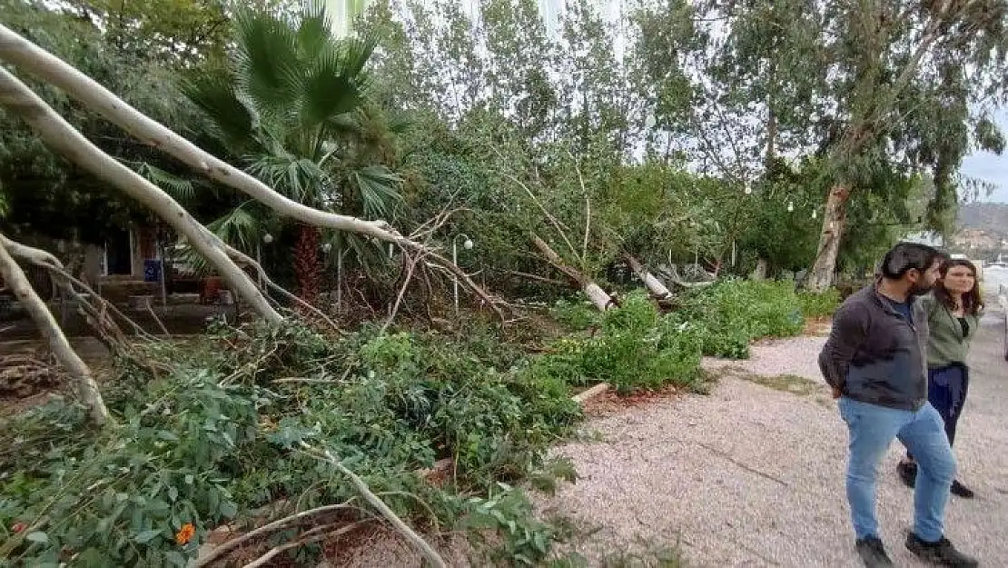 Fırtına Milas'ta da etkili oldu