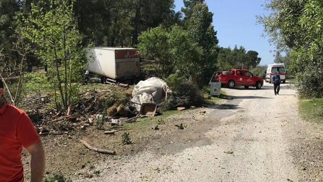 Freni boşalan kamyon ormana daldı