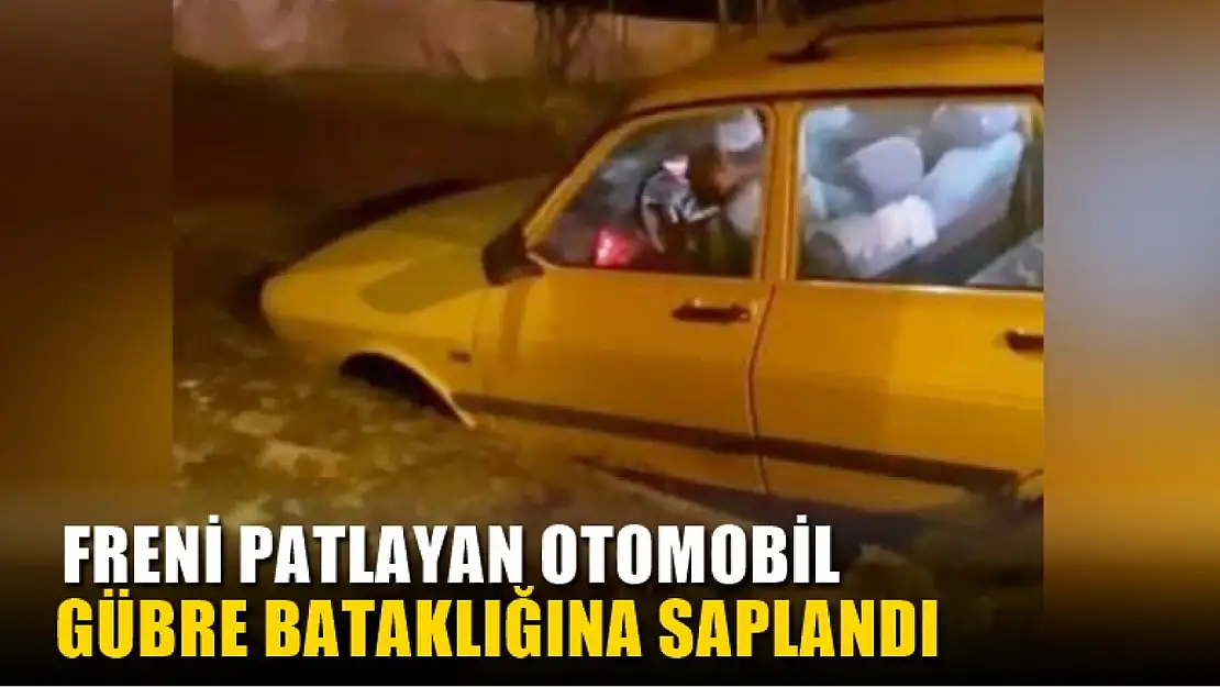 Freni patlayan otomobil gübre bataklığına saplandı