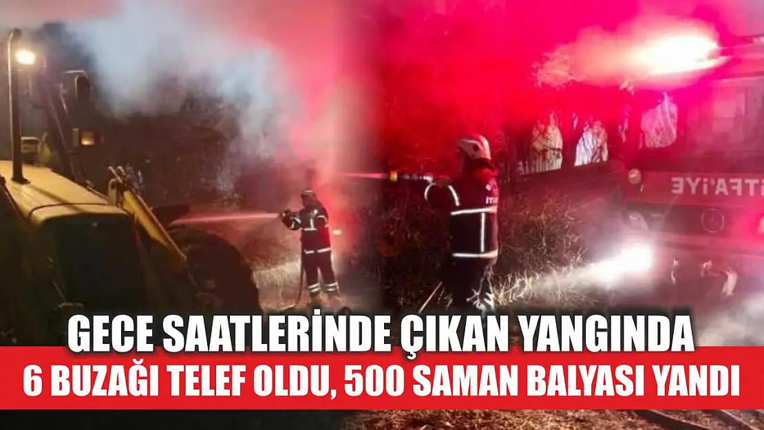 Gece saatlerinde çıkan yangında 6 buzağı telef oldu, 500 saman balyası yandı